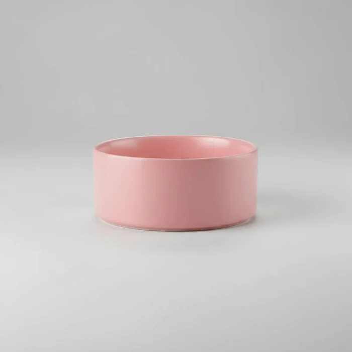 Gamelle Céramique Avec Support Design Pour Chien