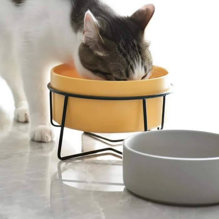 Gamelle Céramique Avec Support Design Pour Chien