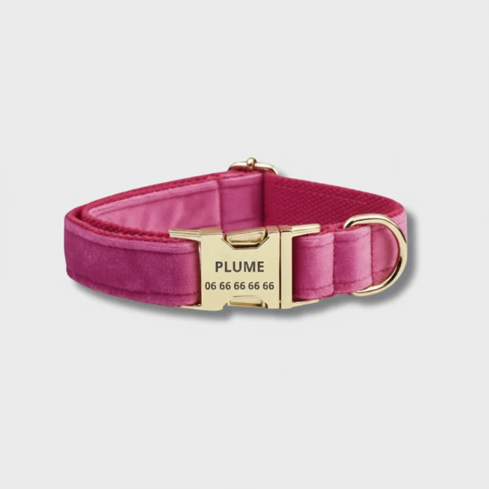 Collier velours pour chien personnalisable - Élégance et confort