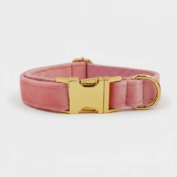 Collier velours pour chien personnalisable - Élégance et confort