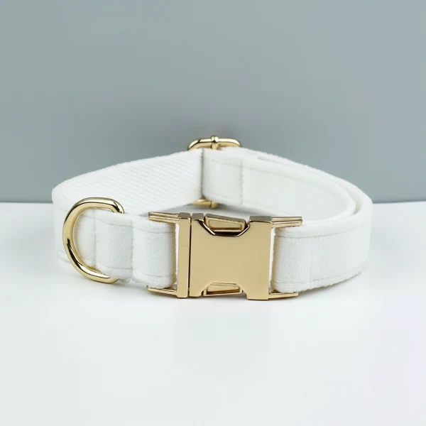Collier velours pour chien personnalisable - Élégance et confort