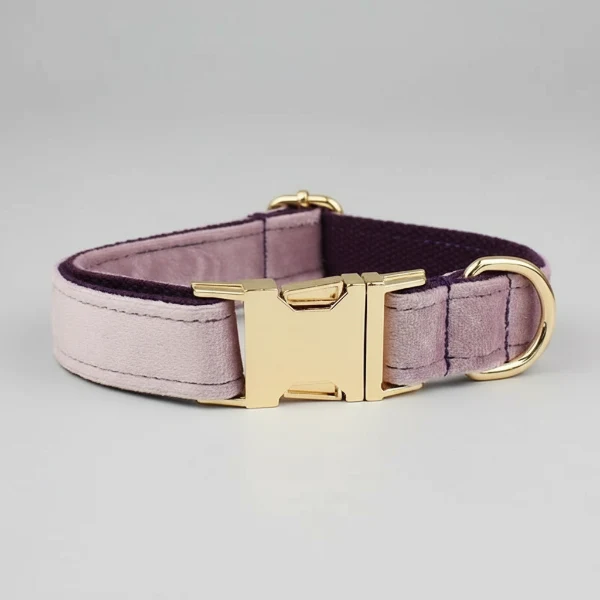 Collier velours pour chien personnalisable - Élégance et confort