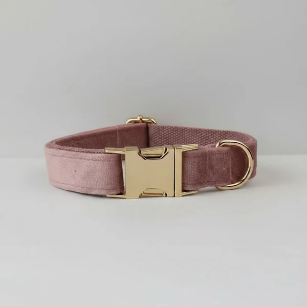 Collier velours pour chien personnalisable - Élégance et confort