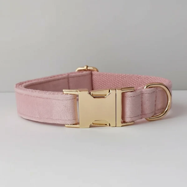 Collier velours pour chien personnalisable - Élégance et confort