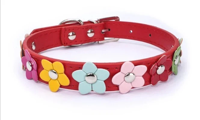 Collier Chien Résistant Motif Fleurs