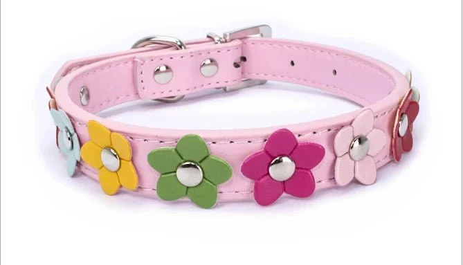 Collier Chien Résistant Motif Fleurs