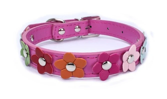 Collier Chien Résistant Motif Fleurs