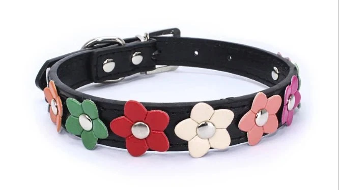 Collier Chien Résistant Motif Fleurs