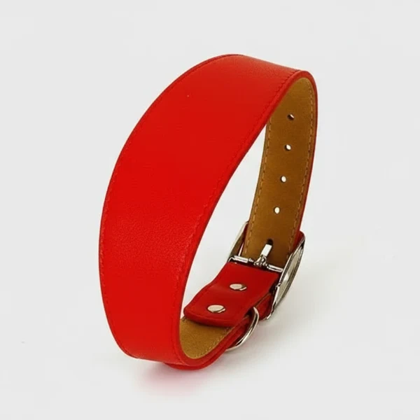 Collier Design pour Lévrier