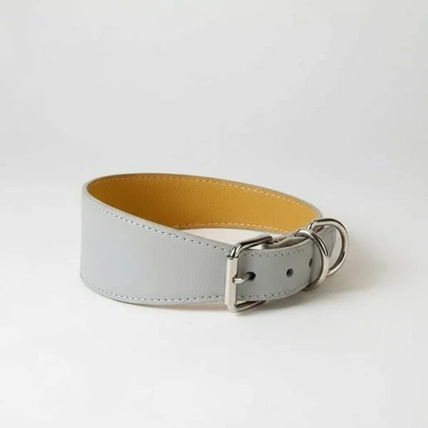 Collier Design pour Lévrier