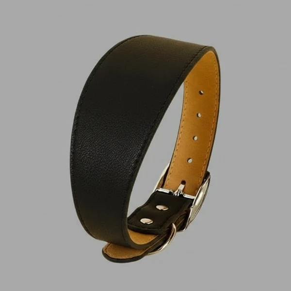Collier Design pour Lévrier