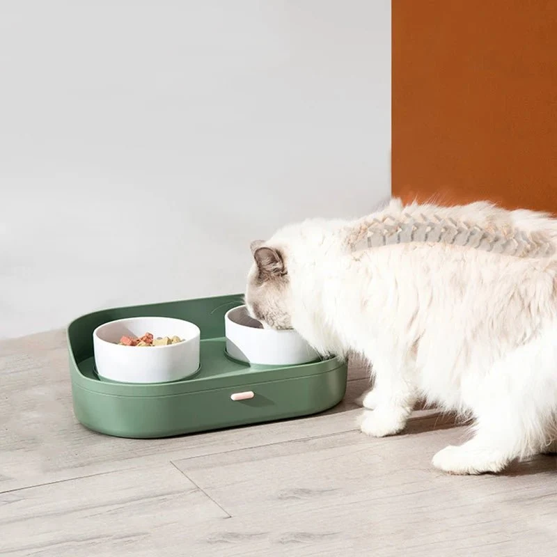Bol Céramique Double Design Pour Chien