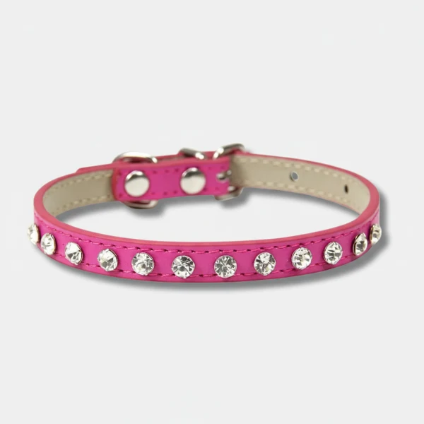 Collier chien strass design - petit collier cuir pour chihuahua