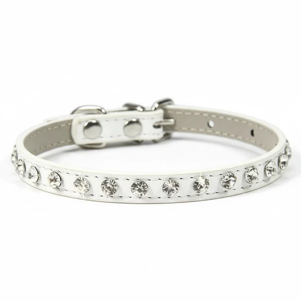 Collier chien strass design - petit collier cuir pour chihuahua