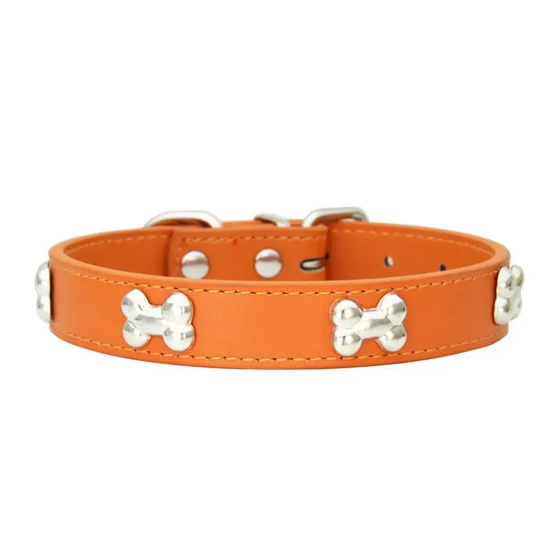 Collier os pour chien design et élégant - Oscar et Plume