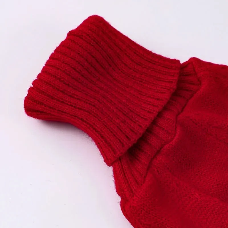 Pull Col Roulé Pour Lévrier - Confort Stylé