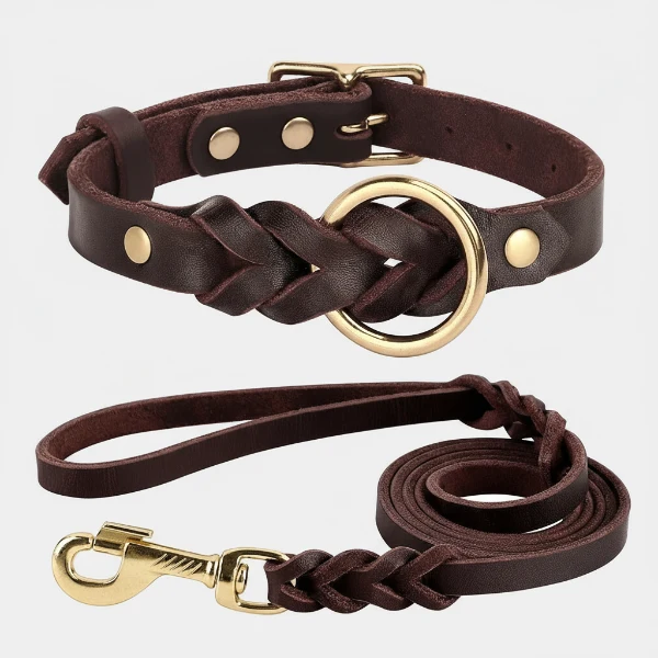 Collier et laisse en cuir pour chien - Design tressé de luxe