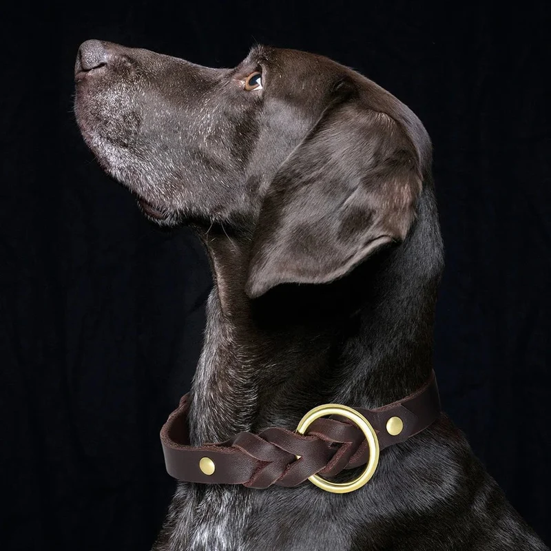 Collier et laisse en cuir pour chien - Design tressé de luxe