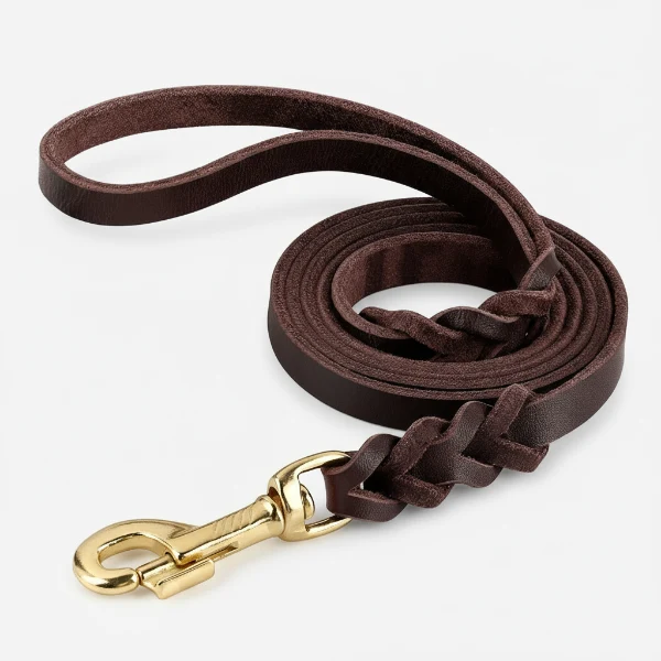 Collier et laisse en cuir pour chien - Design tressé de luxe