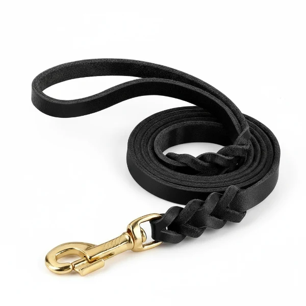 Collier et laisse en cuir pour chien - Design tressé de luxe