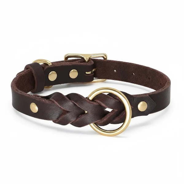 Collier et laisse en cuir pour chien - Design tressé de luxe