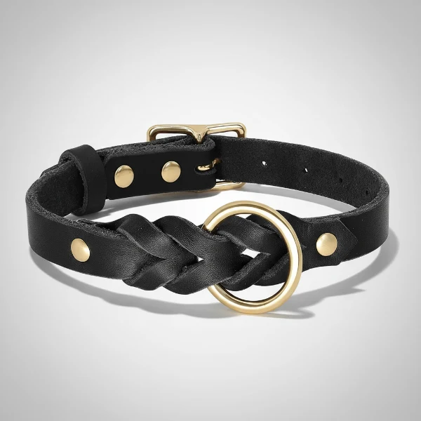 Collier et laisse en cuir pour chien - Design tressé de luxe