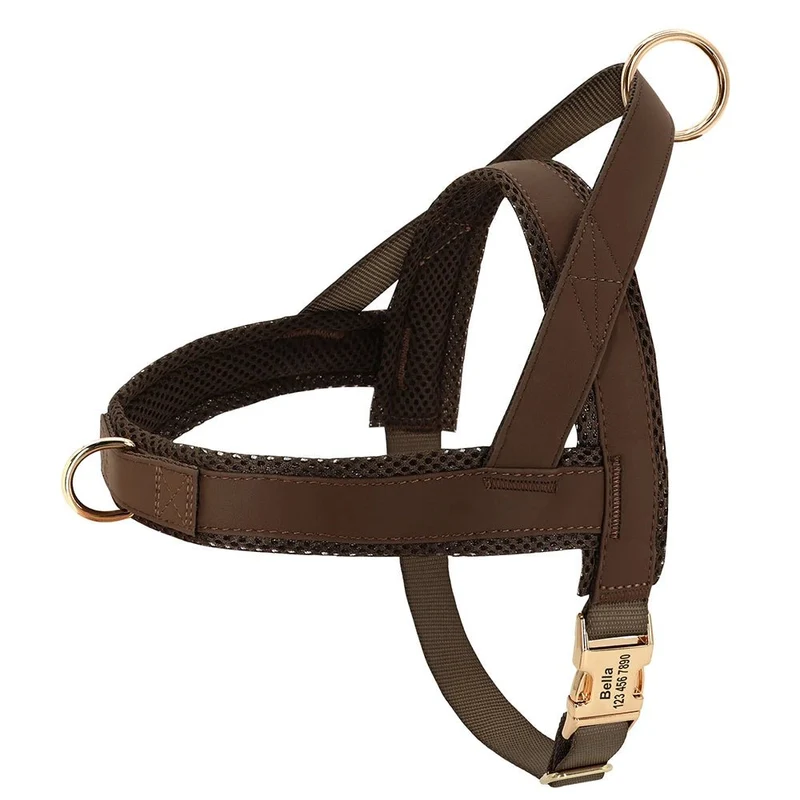 Harnais pour chien personnalisé réglable – Oscar et Plume