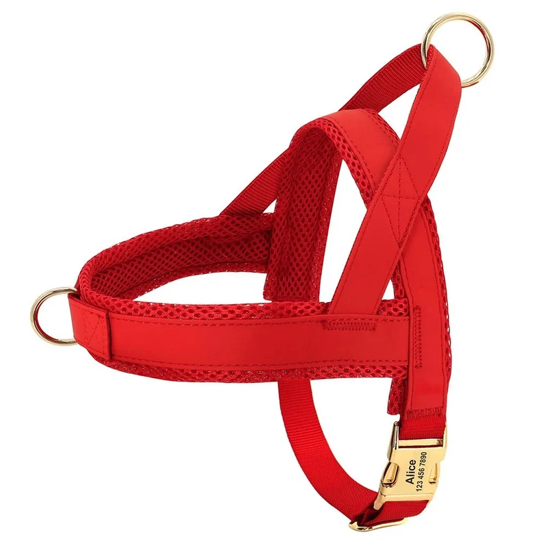Harnais pour chien personnalisé réglable – Oscar et Plume