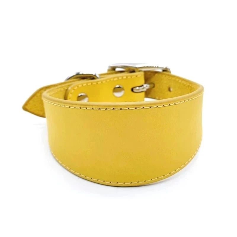 Collier Large En Cuir Véritable Pour Lévrier