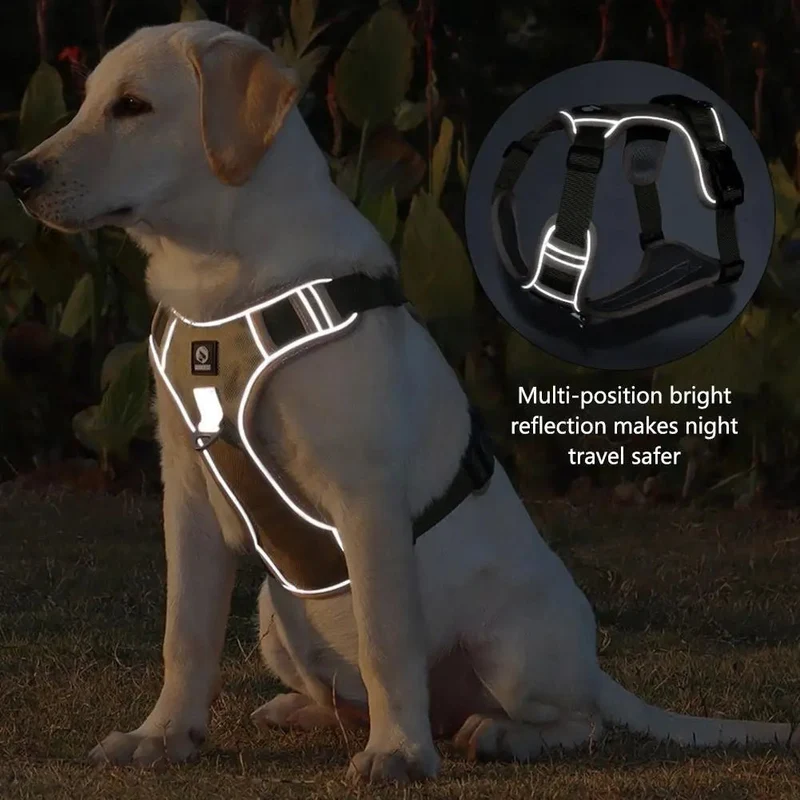 Harnais Anti-Traction Pour Moyen Et Grand Chien