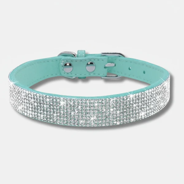 Collier pour Chien Oscar et Plume en pierres fines, stylé et ultra résistant