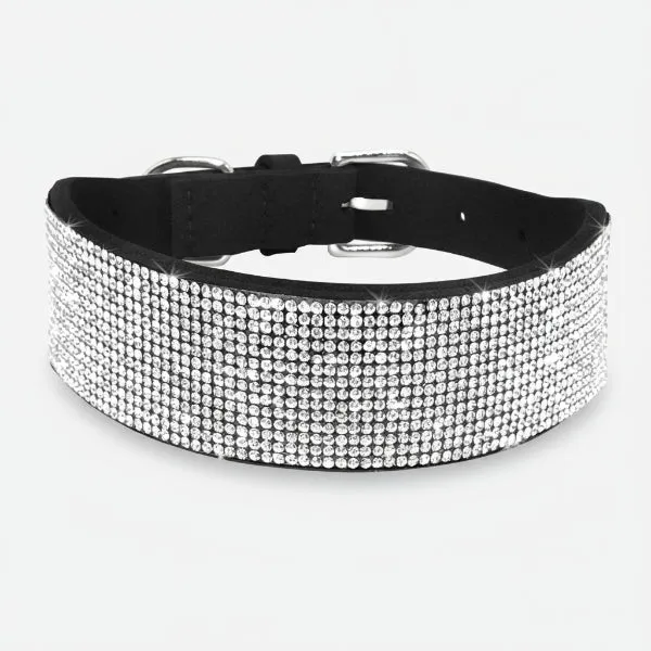 Collier pour Chien Oscar et Plume en pierres fines, stylé et ultra résistant