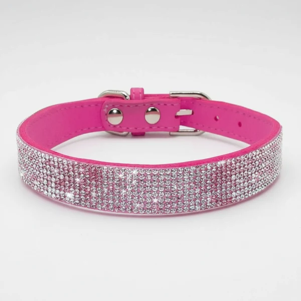 Collier pour Chien Oscar et Plume en pierres fines, stylé et ultra résistant