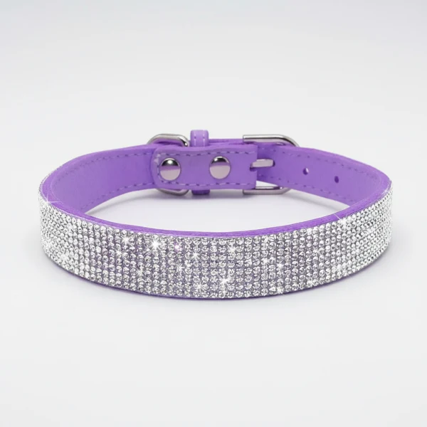 Collier pour Chien Oscar et Plume en pierres fines, stylé et ultra résistant