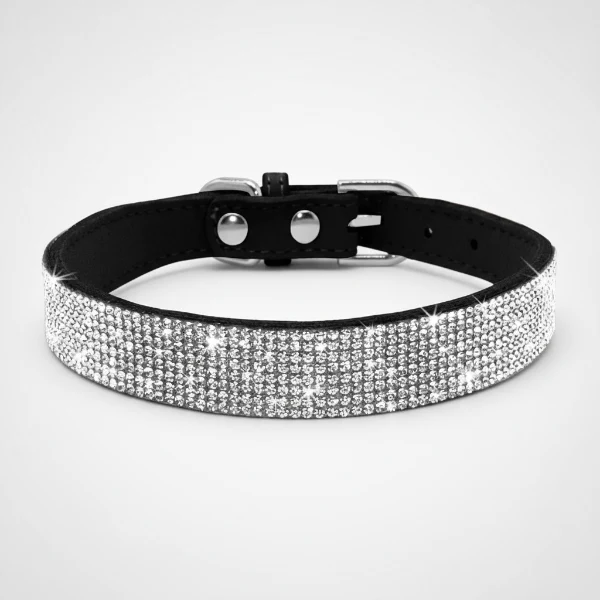 Collier pour Chien Oscar et Plume en pierres fines, stylé et ultra résistant