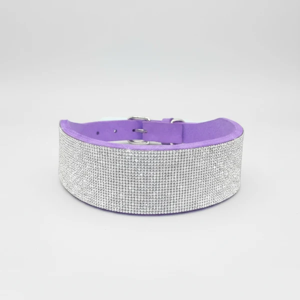 Collier pour Chien Oscar et Plume en pierres fines, stylé et ultra résistant