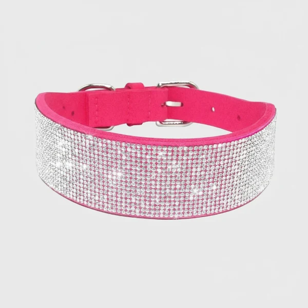 Collier pour Chien Oscar et Plume en pierres fines, stylé et ultra résistant
