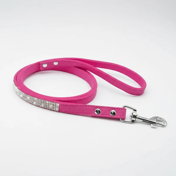 Collier pour Chien Oscar et Plume en pierres fines, stylé et ultra résistant
