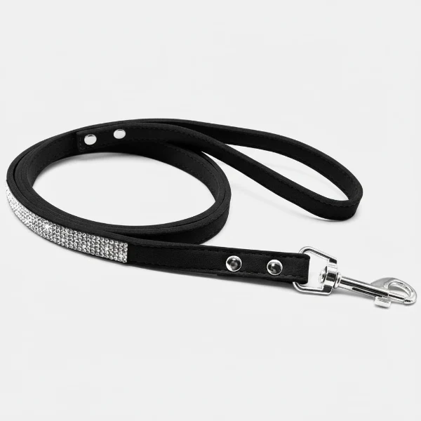 Collier pour Chien Oscar et Plume en pierres fines, stylé et ultra résistant