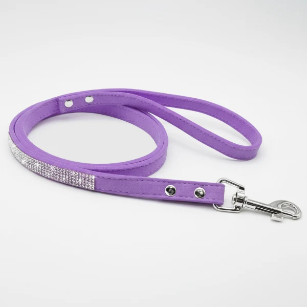 Collier pour Chien Oscar et Plume en pierres fines, stylé et ultra résistant