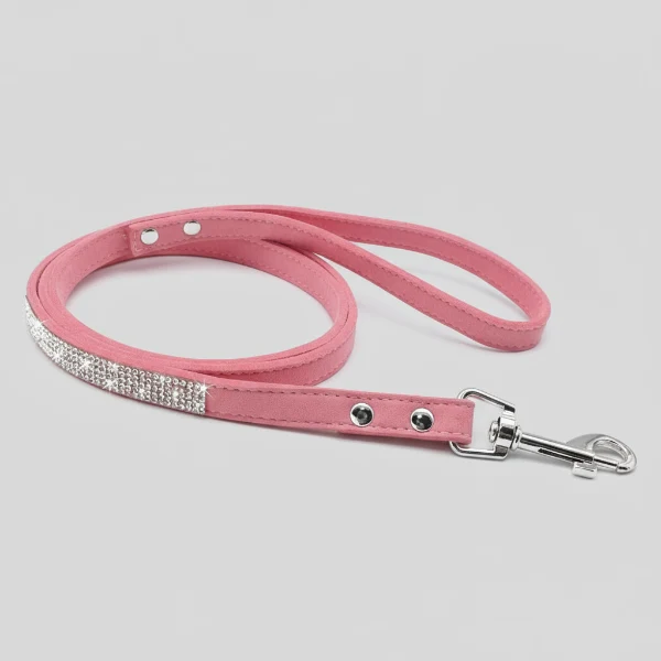 Collier pour Chien Oscar et Plume en pierres fines, stylé et ultra résistant