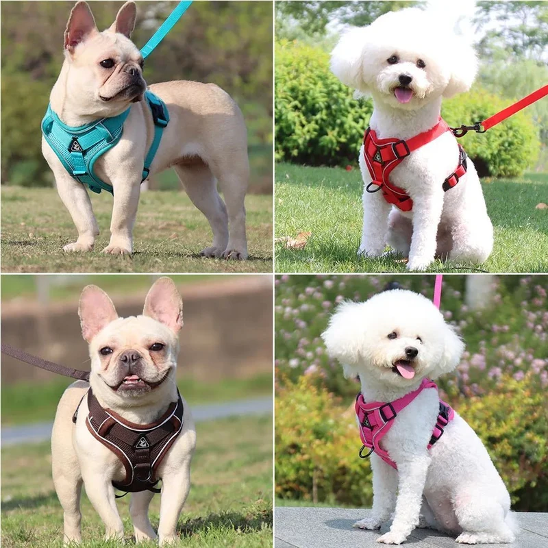 Harnais Réfléchissant Pour Chien Et Laisse