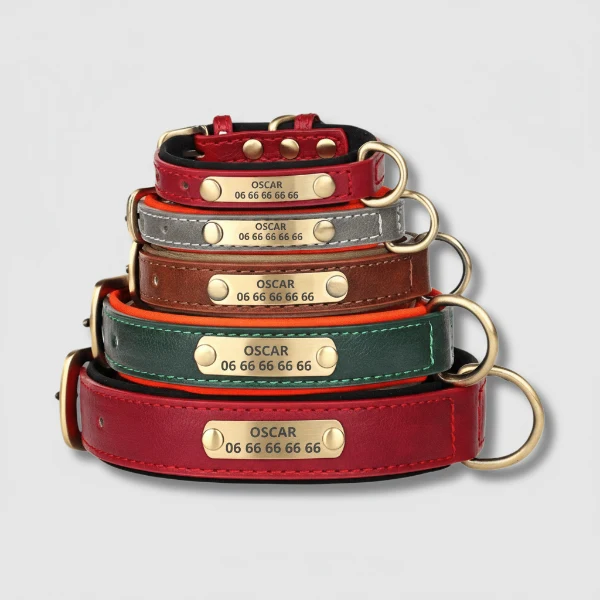 Collier personnalisé pour chien en simili cuir : sécurité, design et confort au quotidien