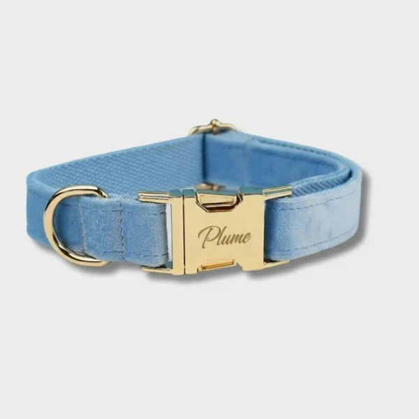 Collier Pour Chien Personnalisable Et Design