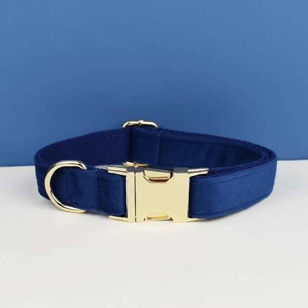 Collier Pour Chien Personnalisable Et Design
