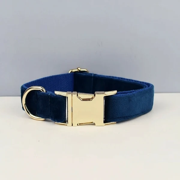 Collier Pour Chien Personnalisable Et Design