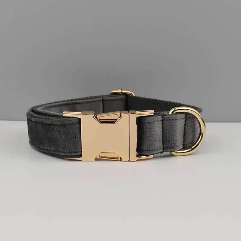 Collier Pour Chien Personnalisable Et Design