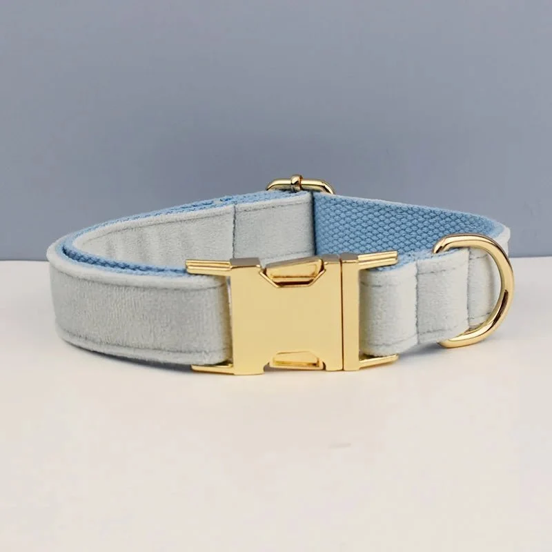 Collier Pour Chien Personnalisable Et Design