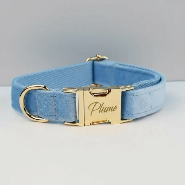 Collier Pour Chien Personnalisable Et Design