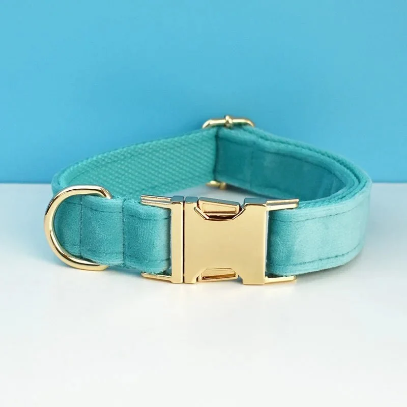 Collier Pour Chien Personnalisable Et Design